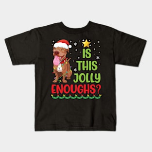 Pitbull Dog Light Merry Chritsmas Day Is This Jolly Enough Kids T-Shirt